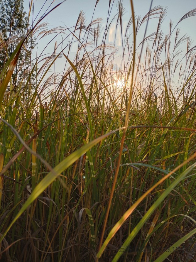 读者园地～糖尿病杂谈（一）