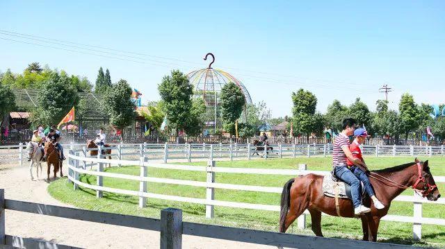 田园嘉乐比乐园纪念品,田园嘉乐比乐园活动