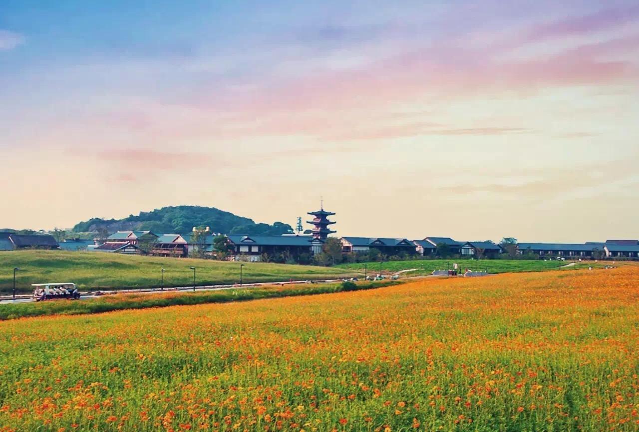 江浙沪春游自驾游,江浙沪自驾春游