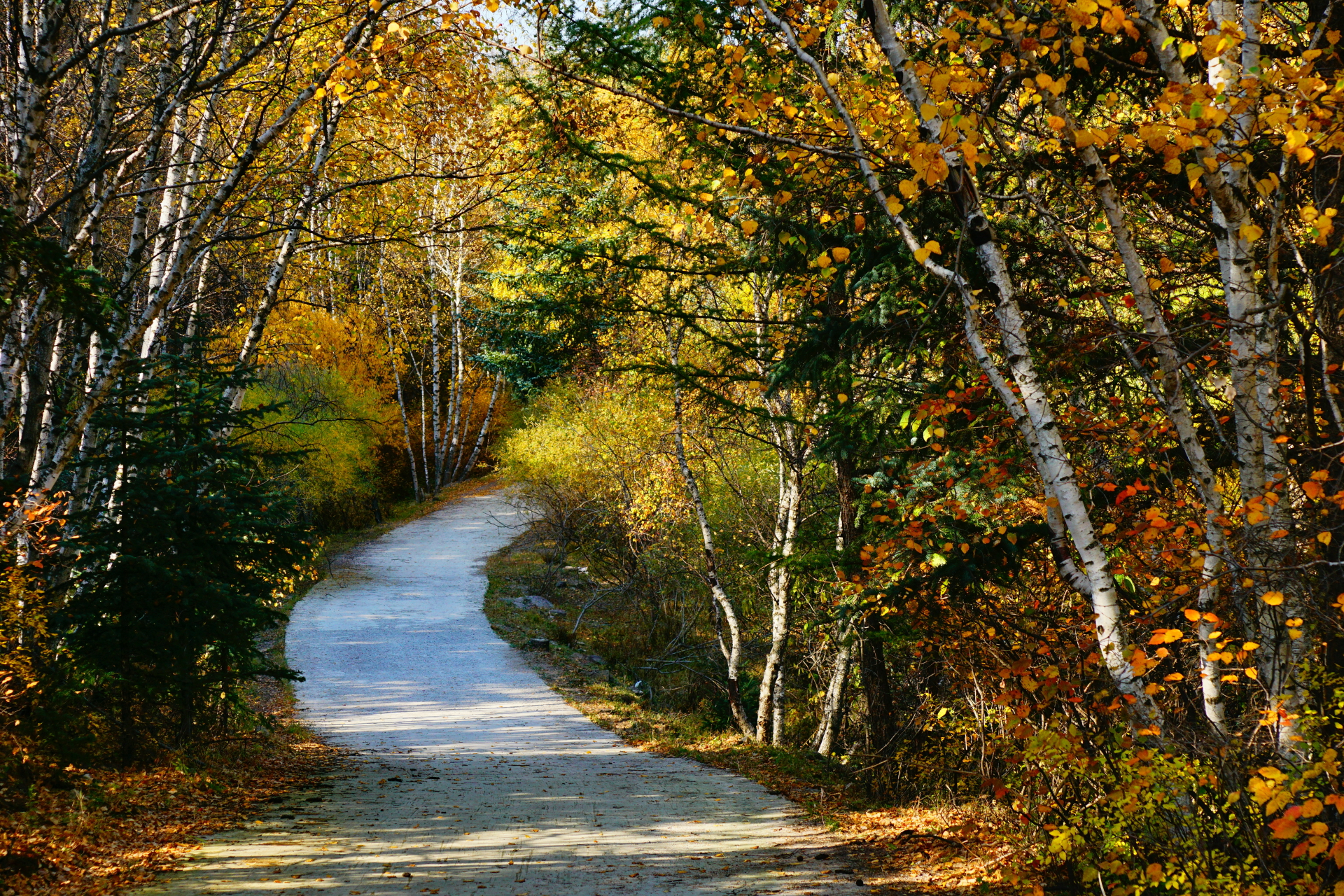 京北第一天路千松坝国家森林公园,千松坝森林公园和京北第一天路