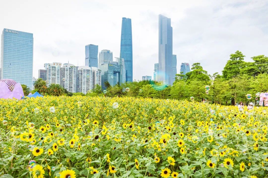 宝藏新公园周末好去处快来打卡,必打卡的宝藏公园