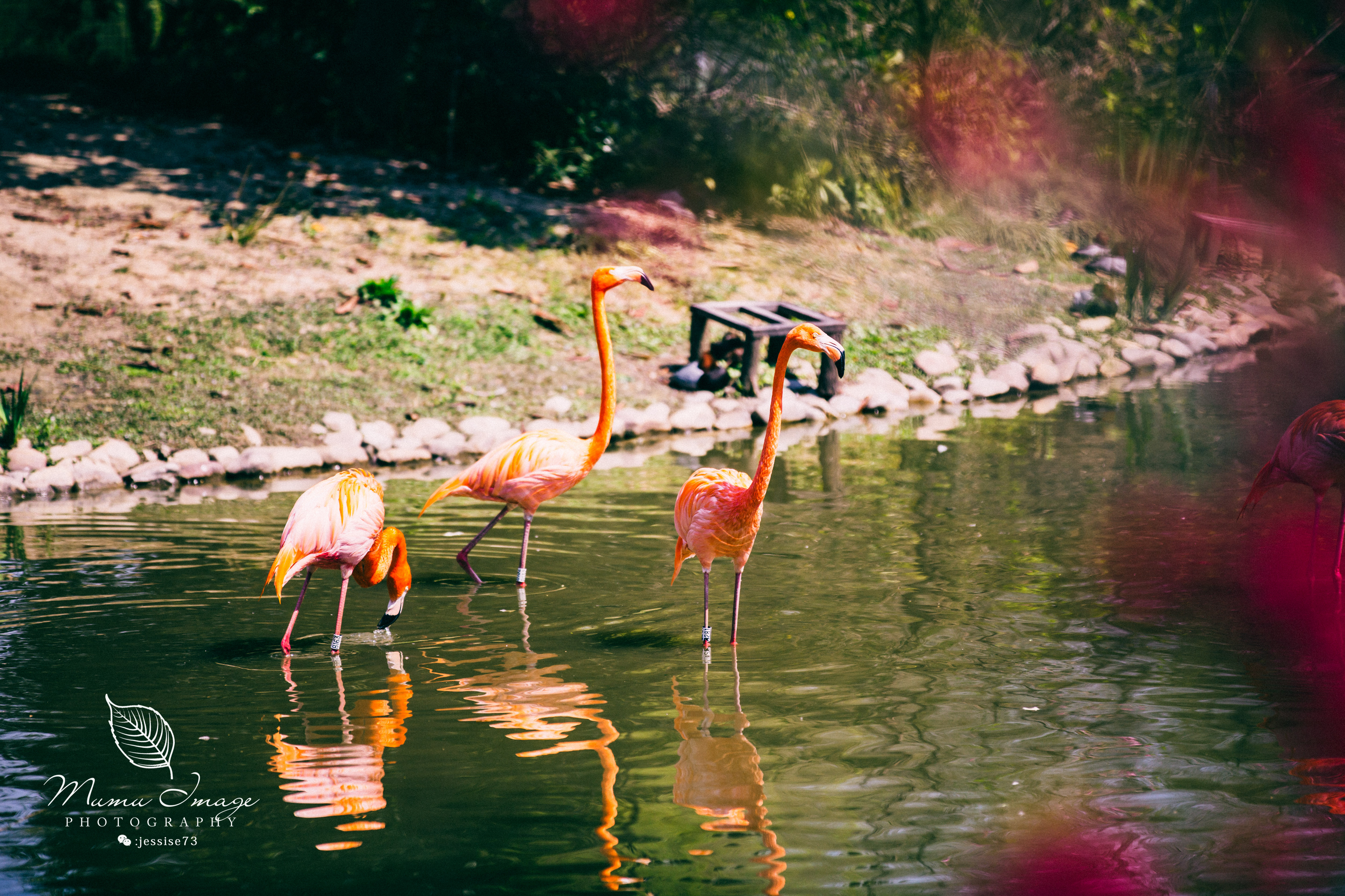 扬州是个不花钱的公园,扬州本地人最喜欢去的公园