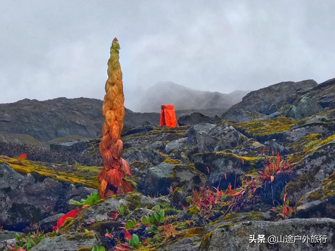 步步惊心的一天,步步惊心12剧情