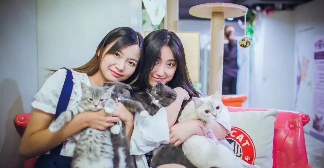 漫猫咖啡星空饮料,漫猫咖啡咖啡厅火爆