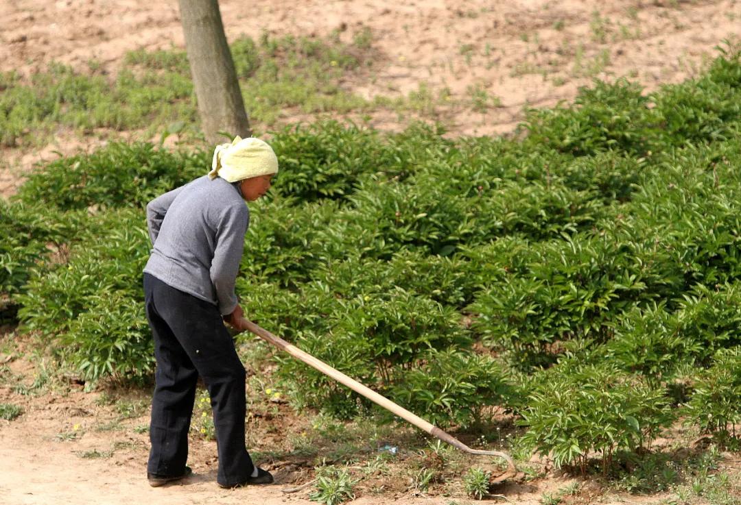 自己开采的荒地能否确权,农民自己开垦的荒地可以确权吗