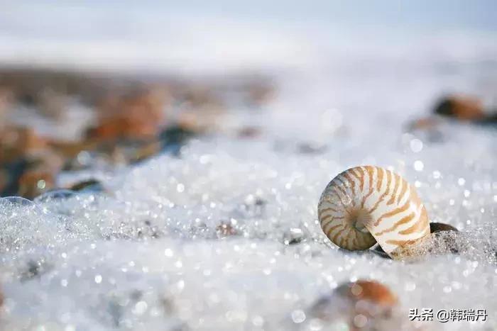 饿其实是养生吗,饿是养生方法吗