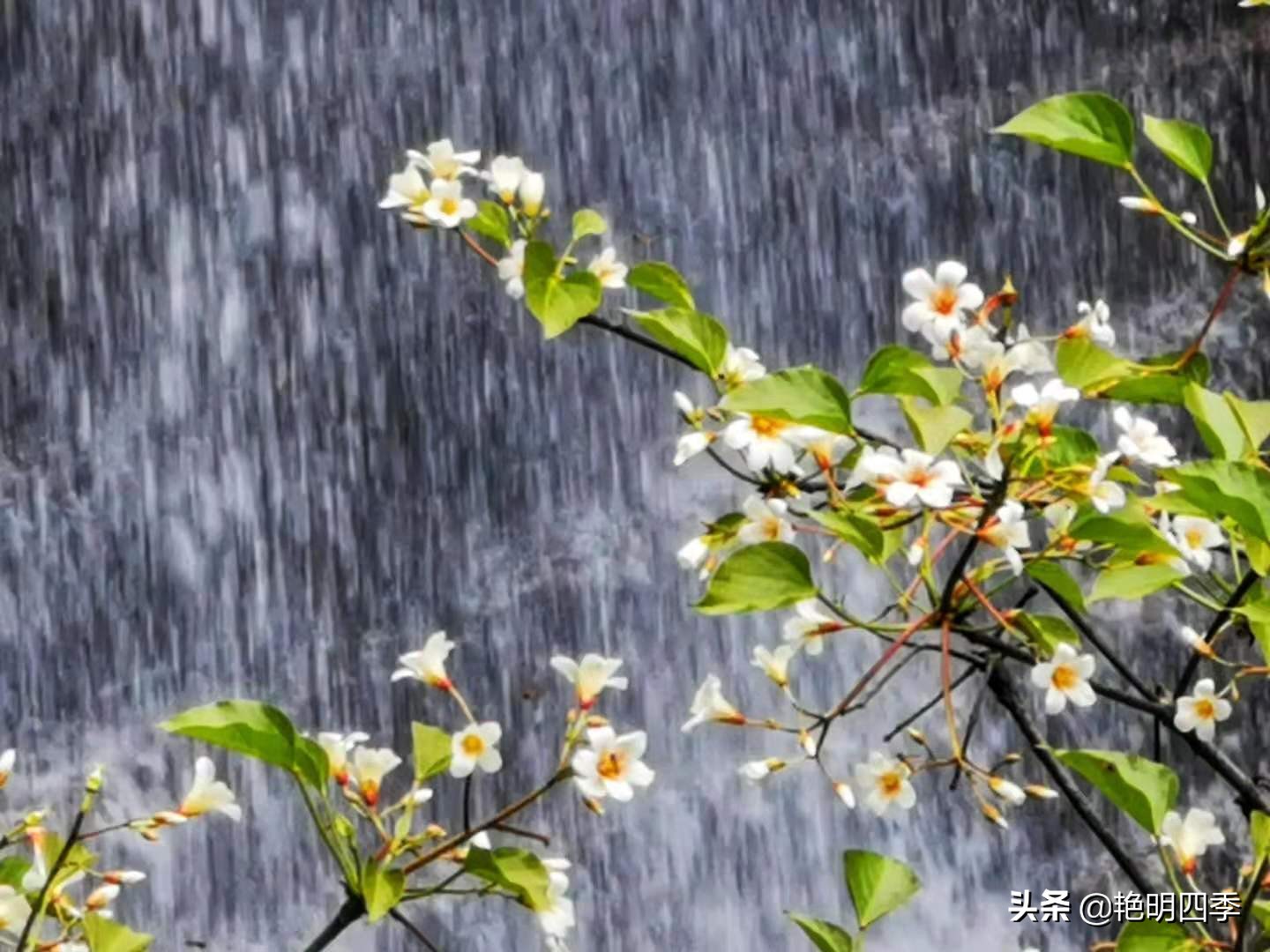 平顶山画眉谷旅行,鲁山县画眉谷视频