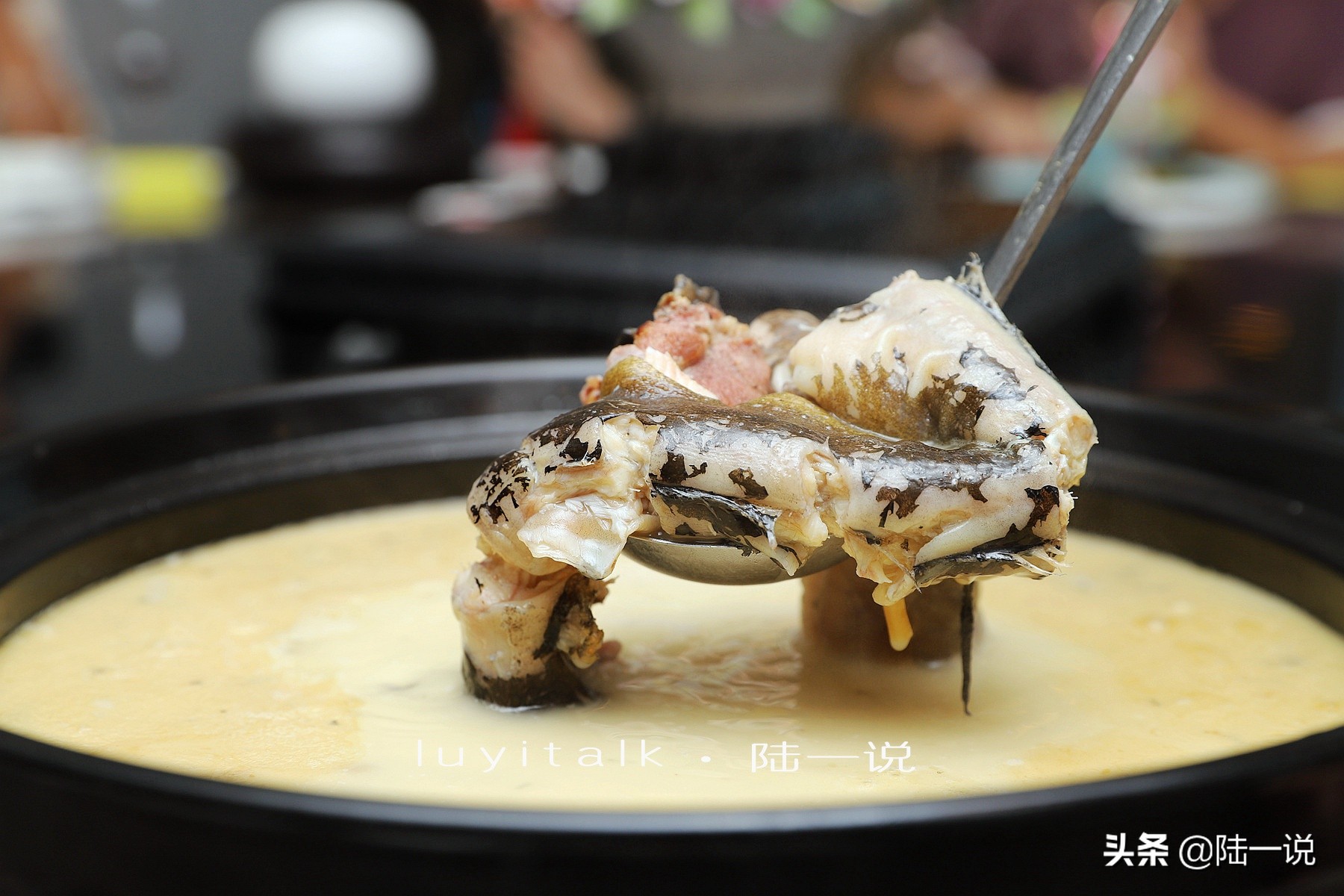 鱼翅海马,鱼翅海马花胶