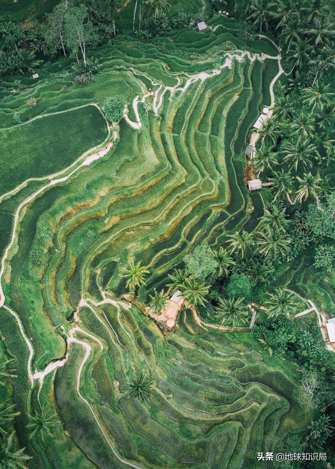 印尼现状相当于中国的什么阶段,印尼靠什么发电
