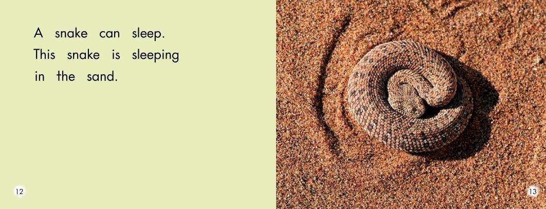 英语绘本故事小怪物,蝴蝶英语绘本阅读