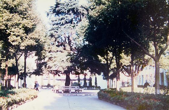 常熟记忆之:雪松之下——校友眼中“省中”的前世今生