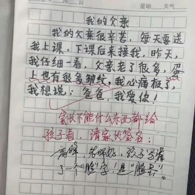 小学生神作文走红,小学生心酸作文走红