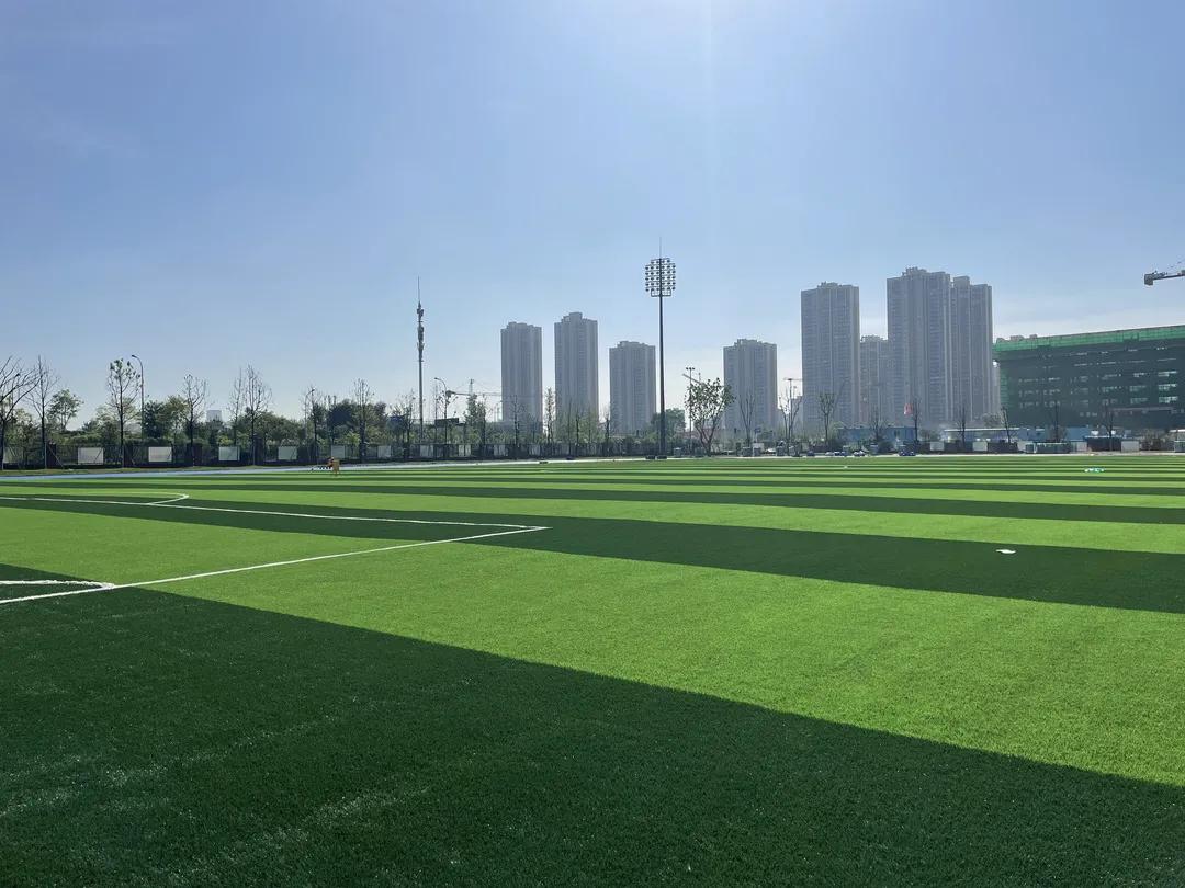 慕了!这所高品质高配置的学校藏不住了~|成华融媒