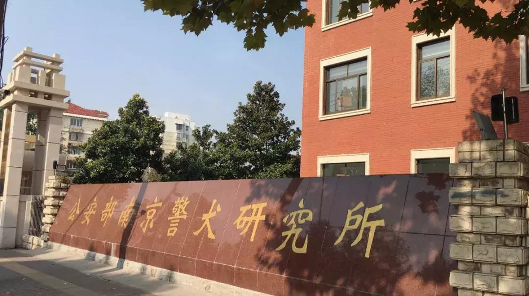 安德门的风，带着五湖四海漂泊的味道