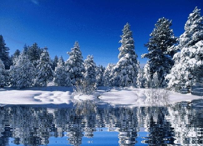 立冬了,取暖炉子您选到最适合的了么?