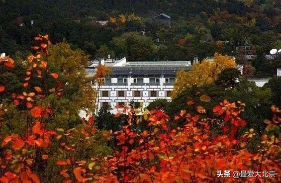 香山周末好去处,香山夏天去好玩吗