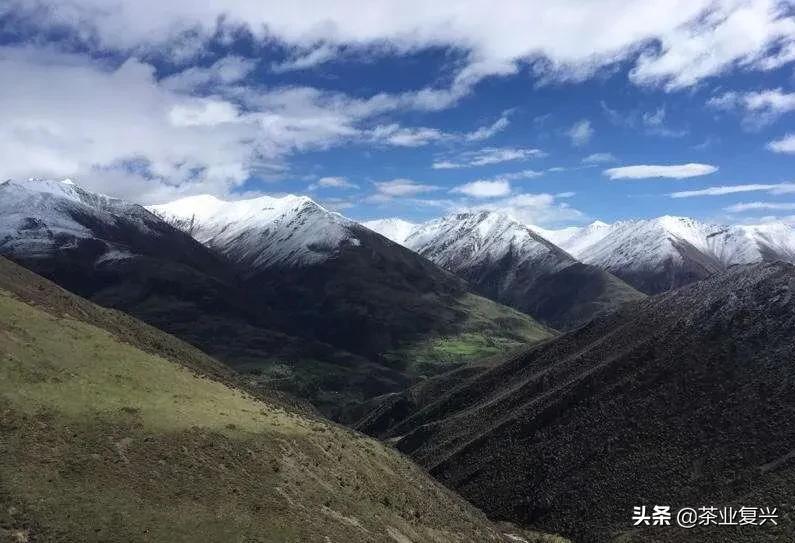 鑼舵病鐩愪汉娌￠挶,鑼舵贰涓嶅姘翠汉绌蜂笉濡傞