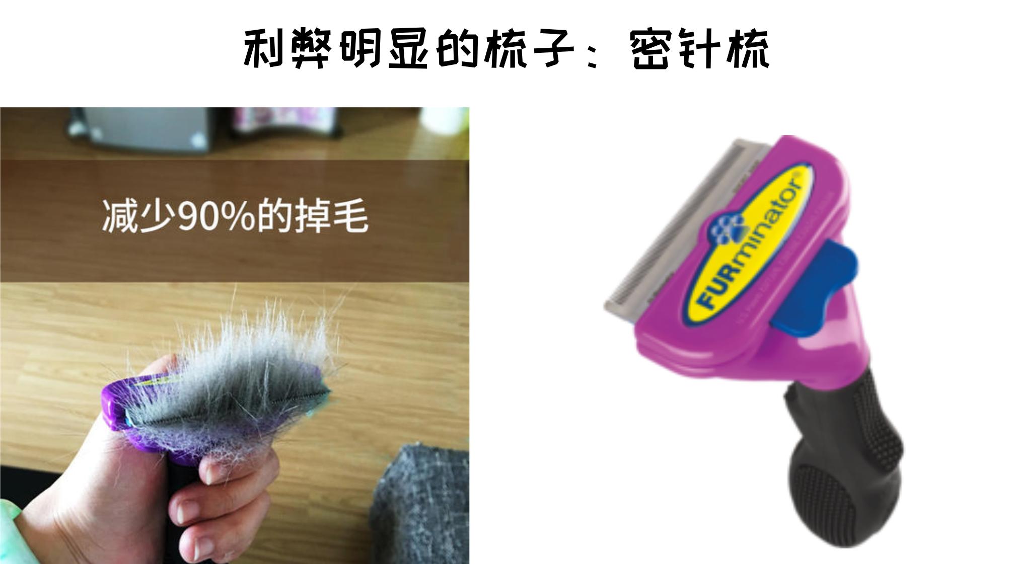 猫咪掉毛铲屎官怎么办,怎样解决猫咪掉毛非常严重的情况