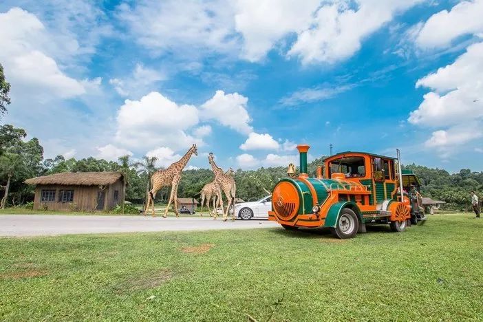 春节广州长隆野生动物世界攻略,广州长隆野生动物世界旅游攻略