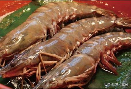 东方夏威夷国际旅游度假区,养马岛后海东方夏威夷