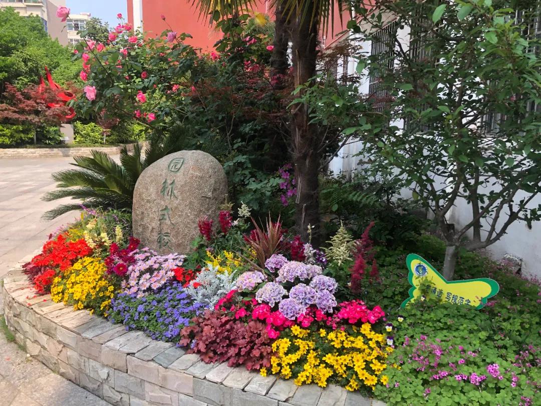 南京的城市发展与变迁,南京翻天覆地的变化