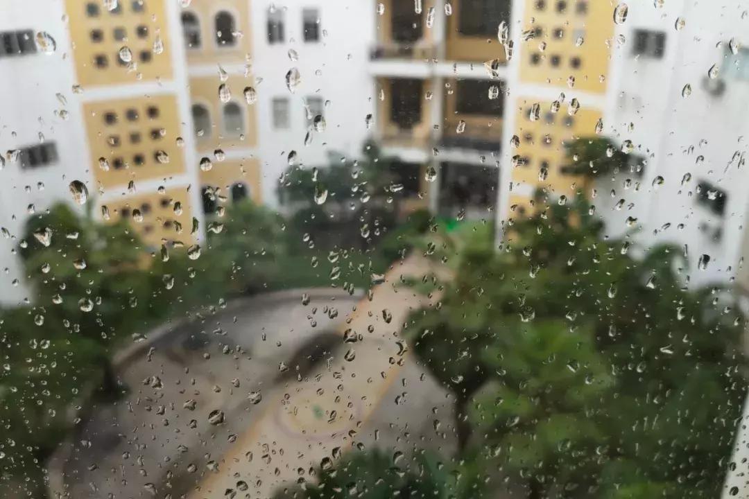 三亚学院21年新生报到,三亚学院新生入学教育