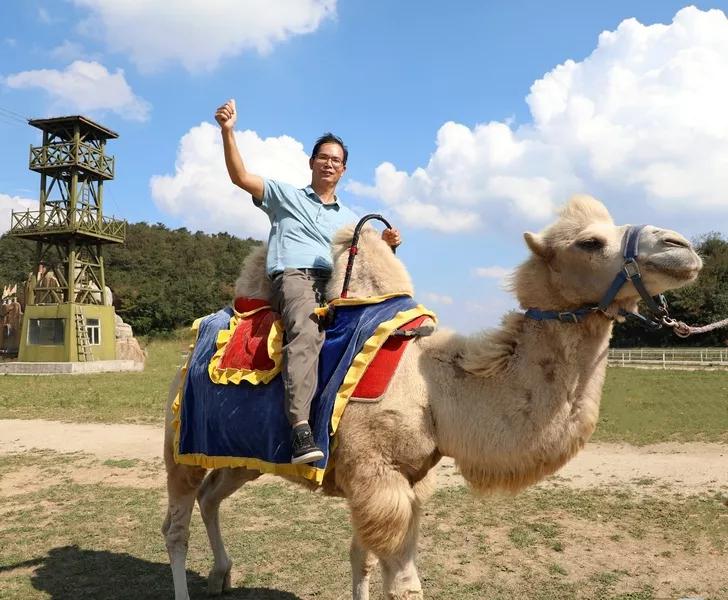 景点山楂树之恋,相约百里荒