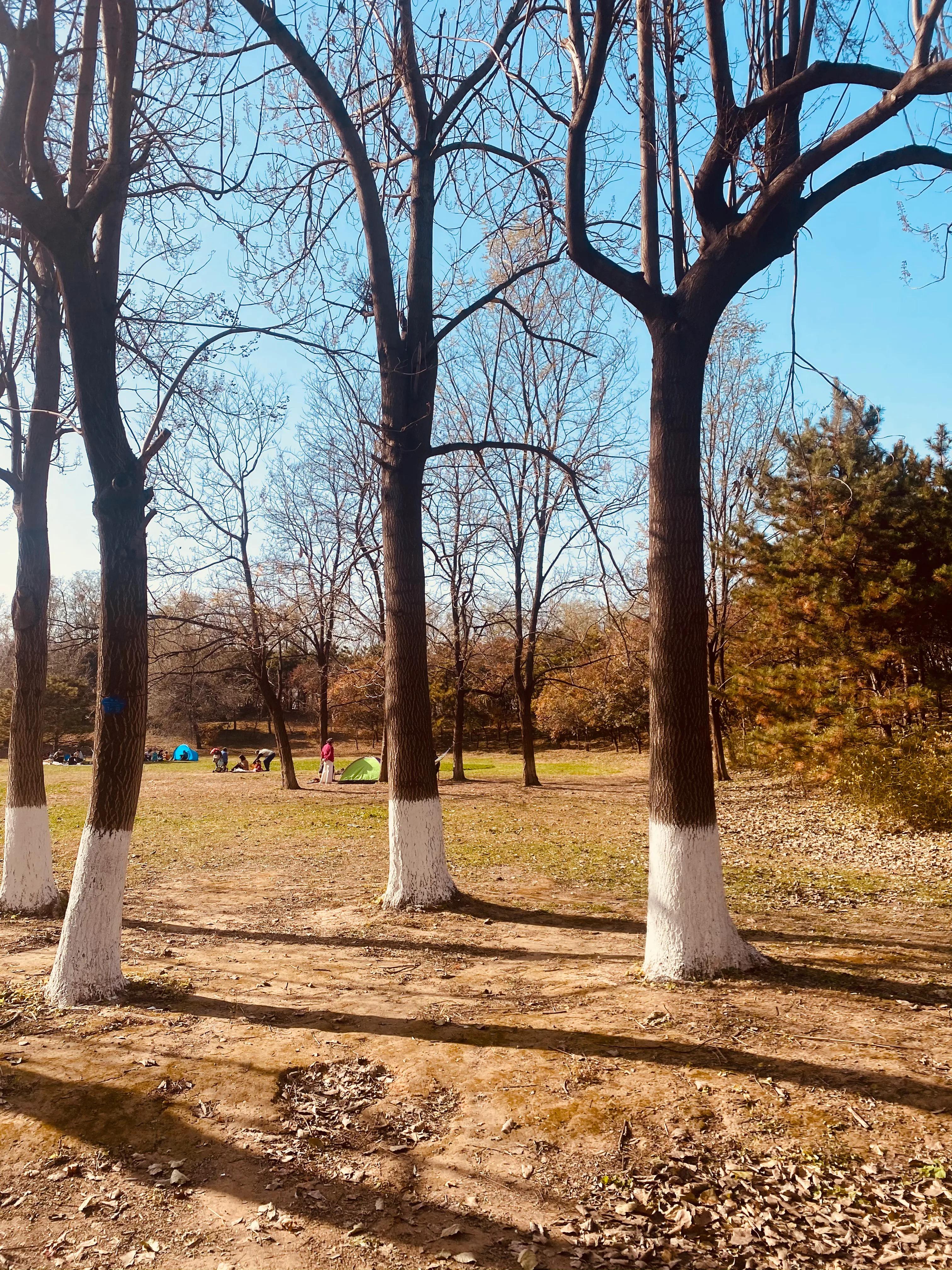 奥森游玩攻略,奥森亲子游玩