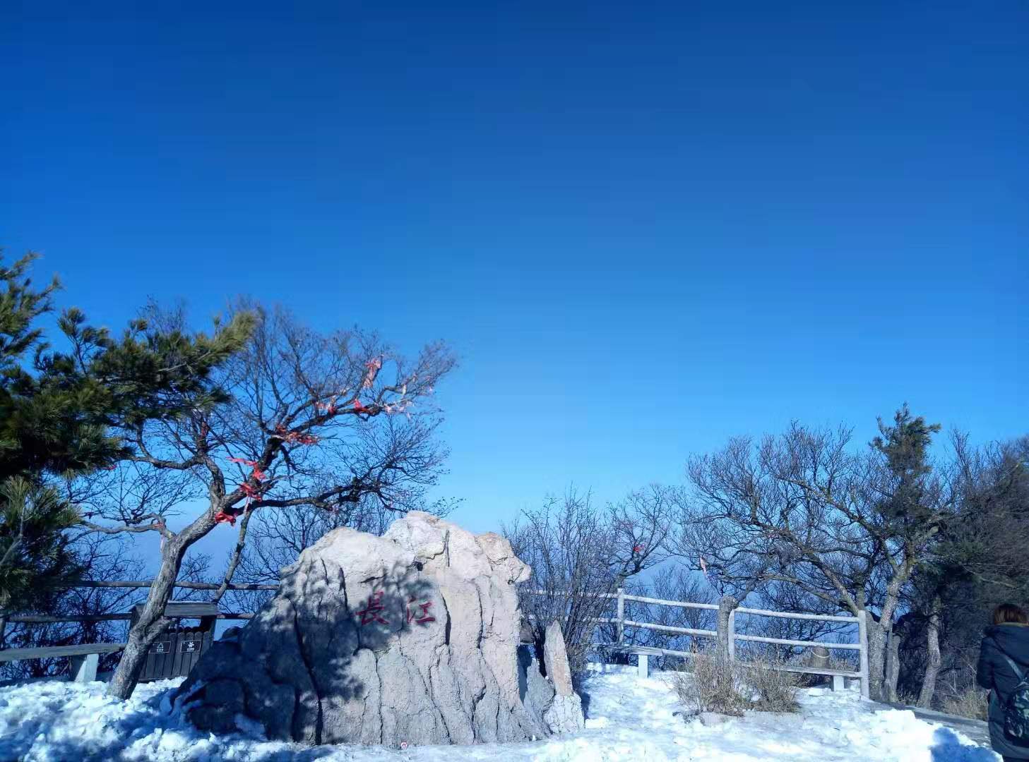 关于大便和金钱的关系——心理学思考