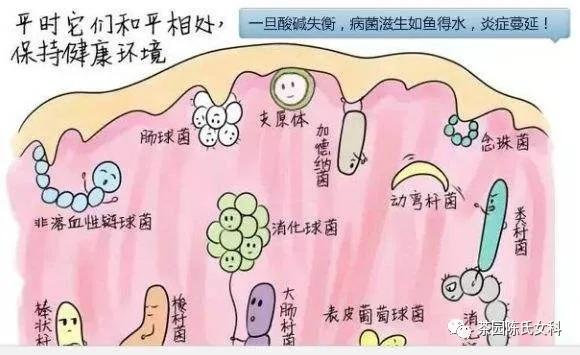 顽固阴道炎更要排除HPV感染