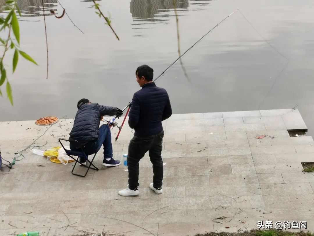 钓鱼与锚鱼区别,钓鱼跟锚鱼有什么区别