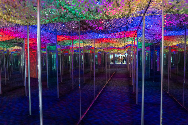 森林麋鹿公园,森林麋鹿