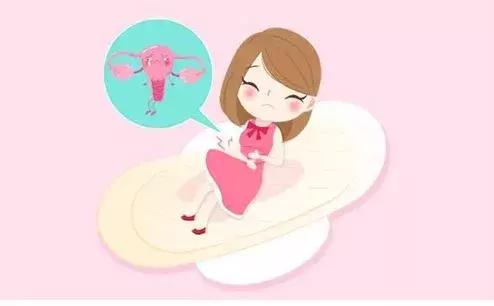 带脉是人体的长寿腰带,多功能经络健康腰带