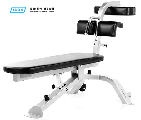 icon健身器材品牌,爱康健身器材官网价格