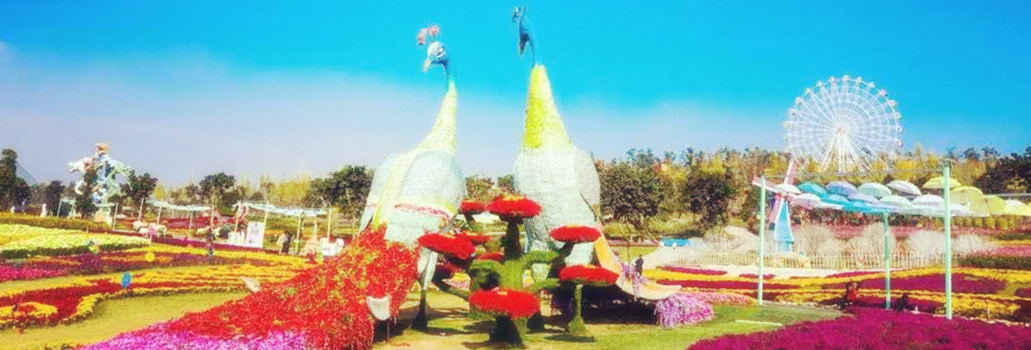 成都最高的山海拔多高,成都爬最高的山