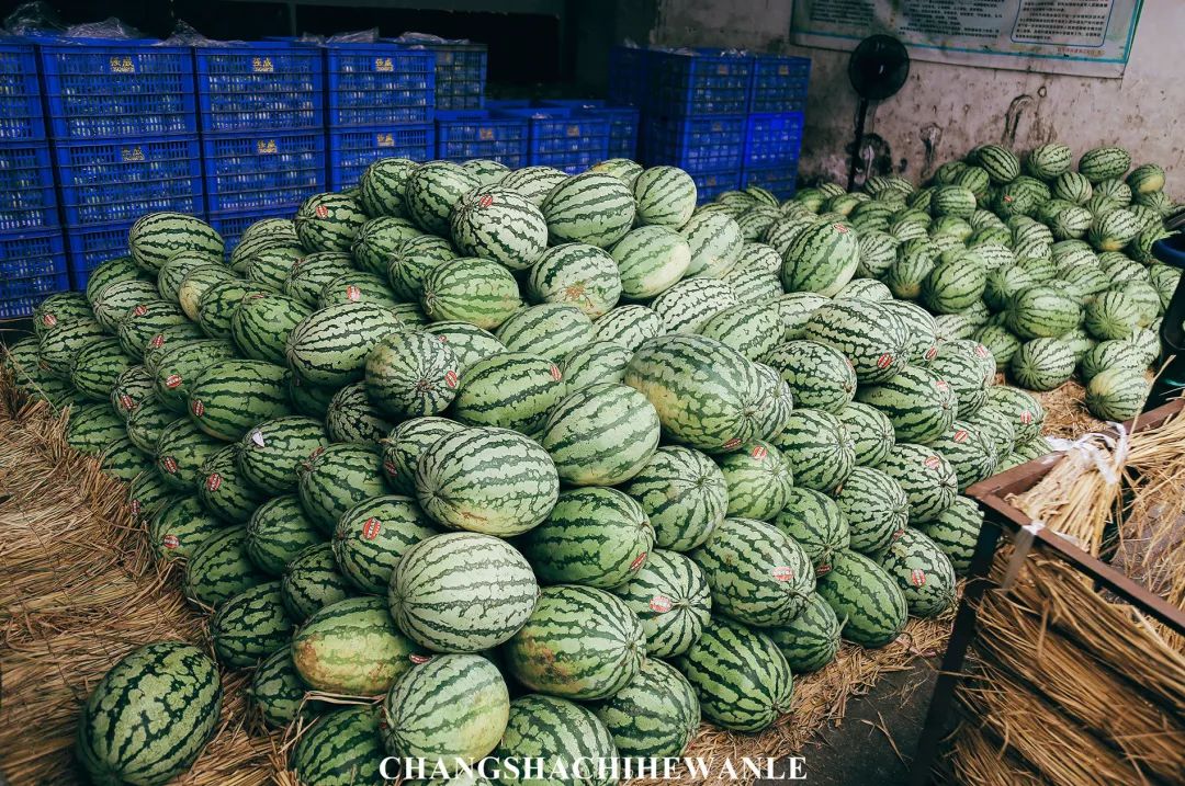长沙红星水果批发市场水果价格,长沙红星水果批发市场代卖荔枝