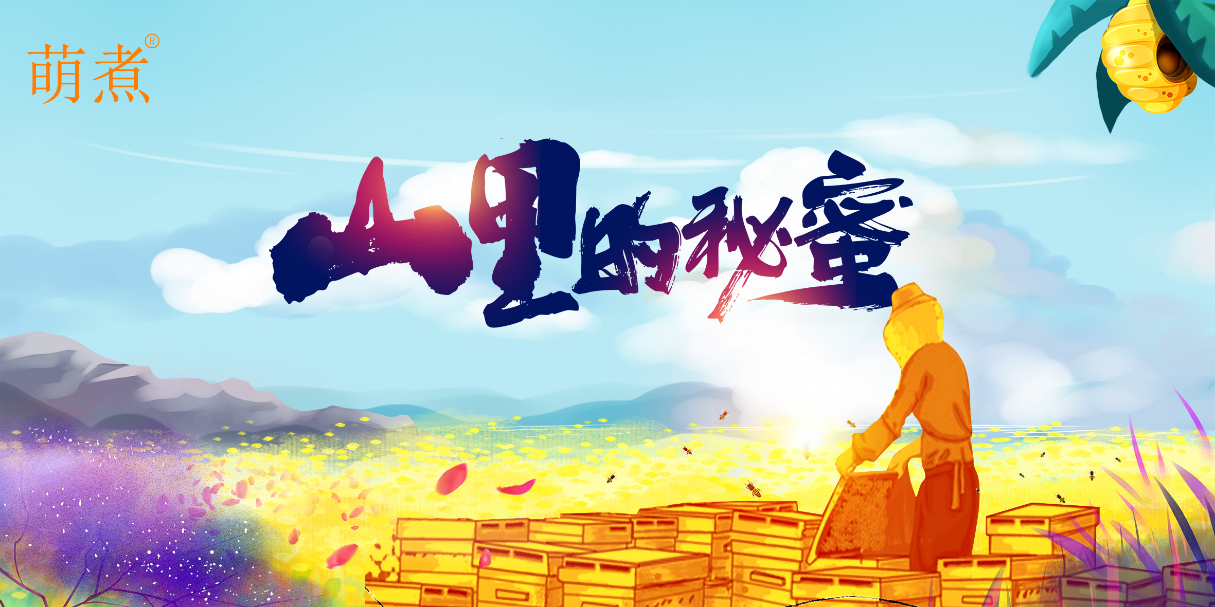 健康养生土蜂蜜,神农架土蜂蜜槐花蜂蜜