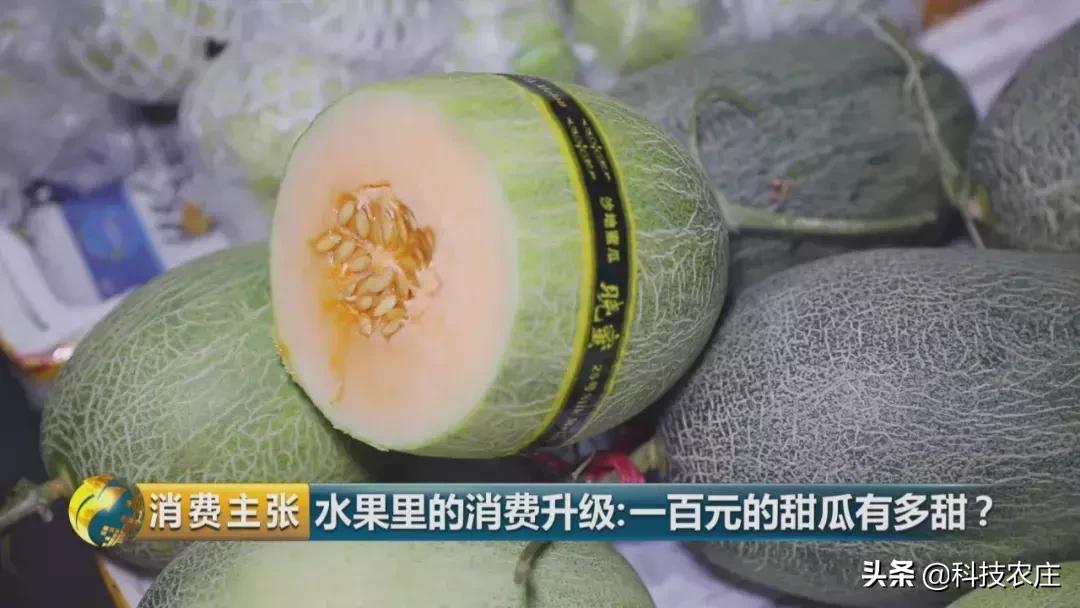 甜瓜最好卖的有哪些品种,菠萝猕猴桃芒果甜瓜什么最贵