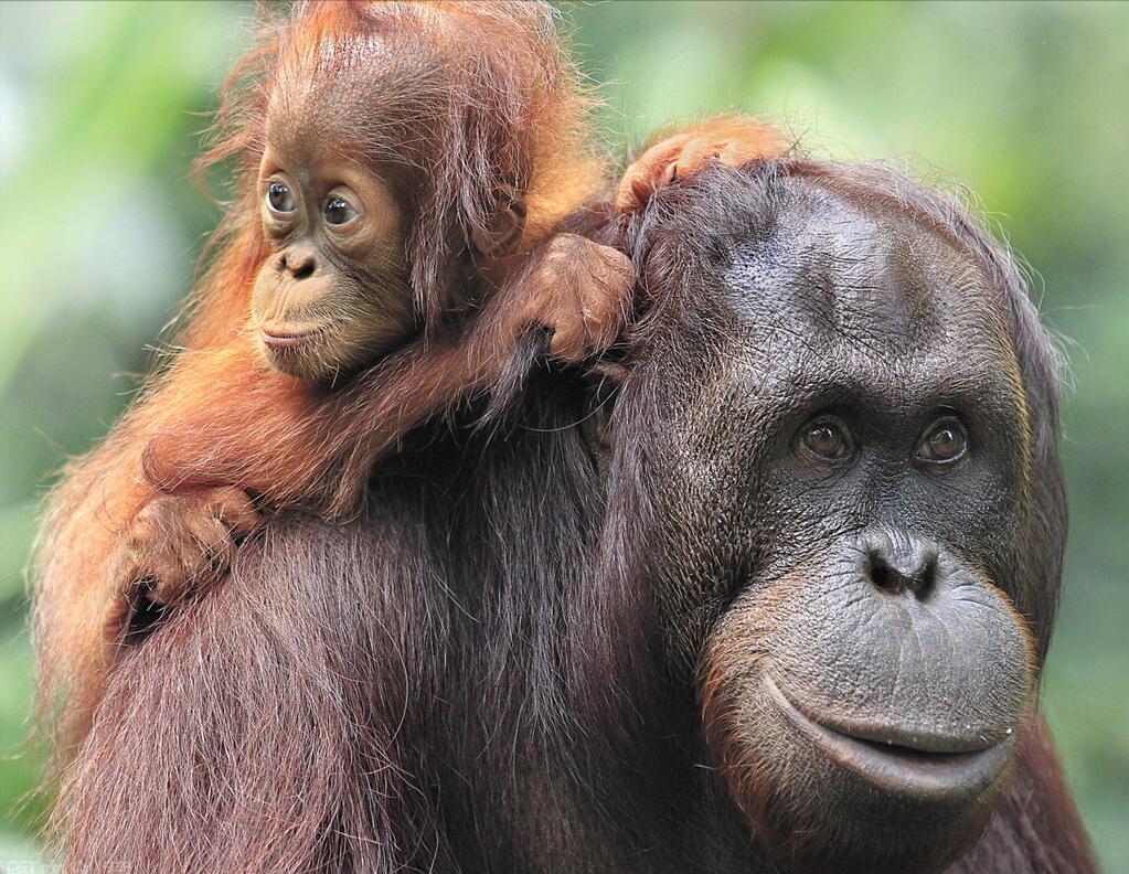 卓训教育最新信息,卓训家庭教育方法