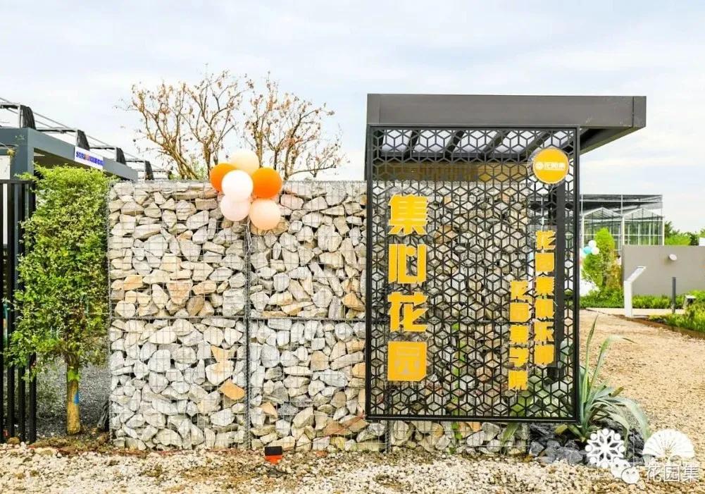 鑺卞洯鐩涘涔愯嚦,鑺卞洯鐩涘瀹屾暣