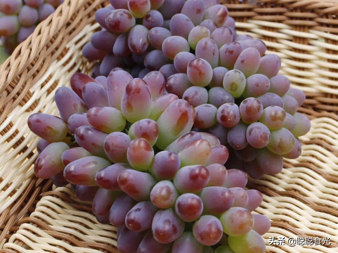 09钁¤悇鍝佺鐨勪紭缂虹偣,鏃╁法瀹濊憽钀勫搧绉嶄紭缂虹偣