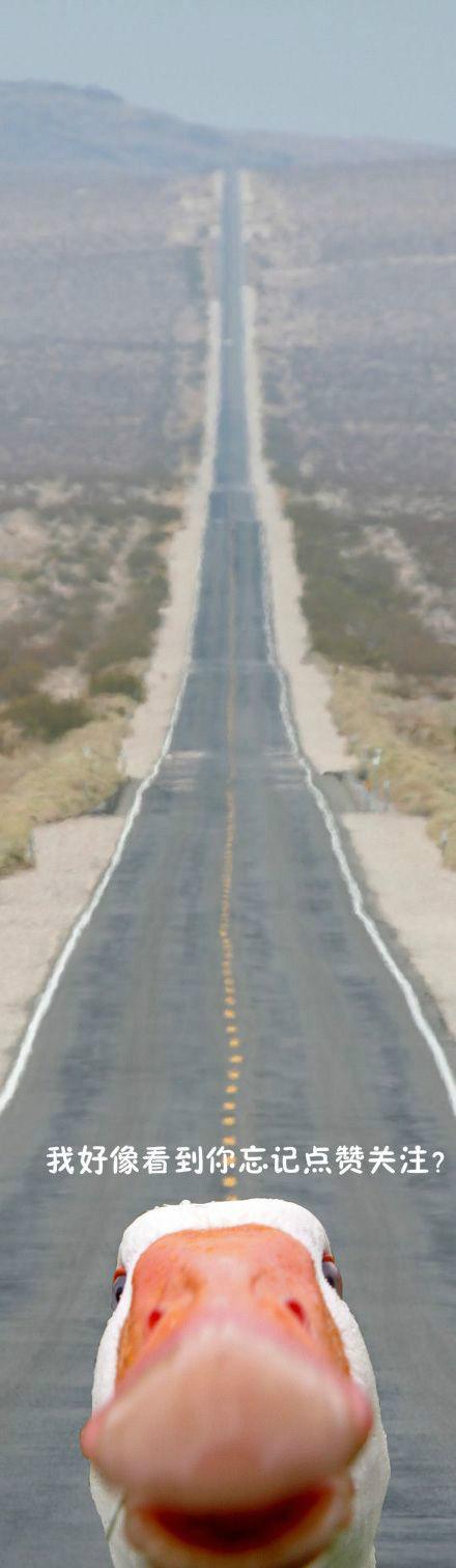 开心图文高清图片,开心图文原创