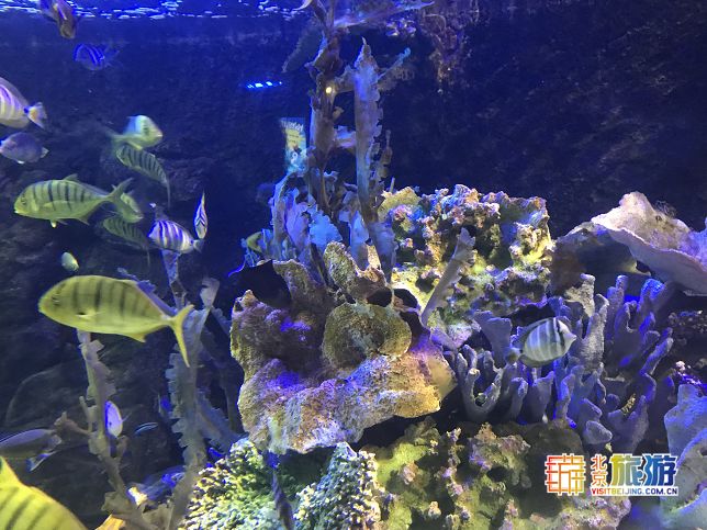 冰雪嘉年华温泉游玩攻略,北京可以泡温泉滑滑梯的地方