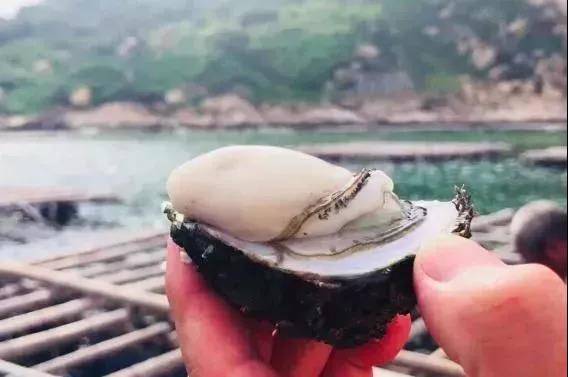 双十一民宿打折吗,双11秒杀民宿