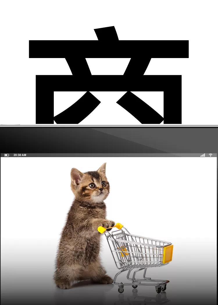 宠物代养盈利,宠物带货行业的发展现状及前景