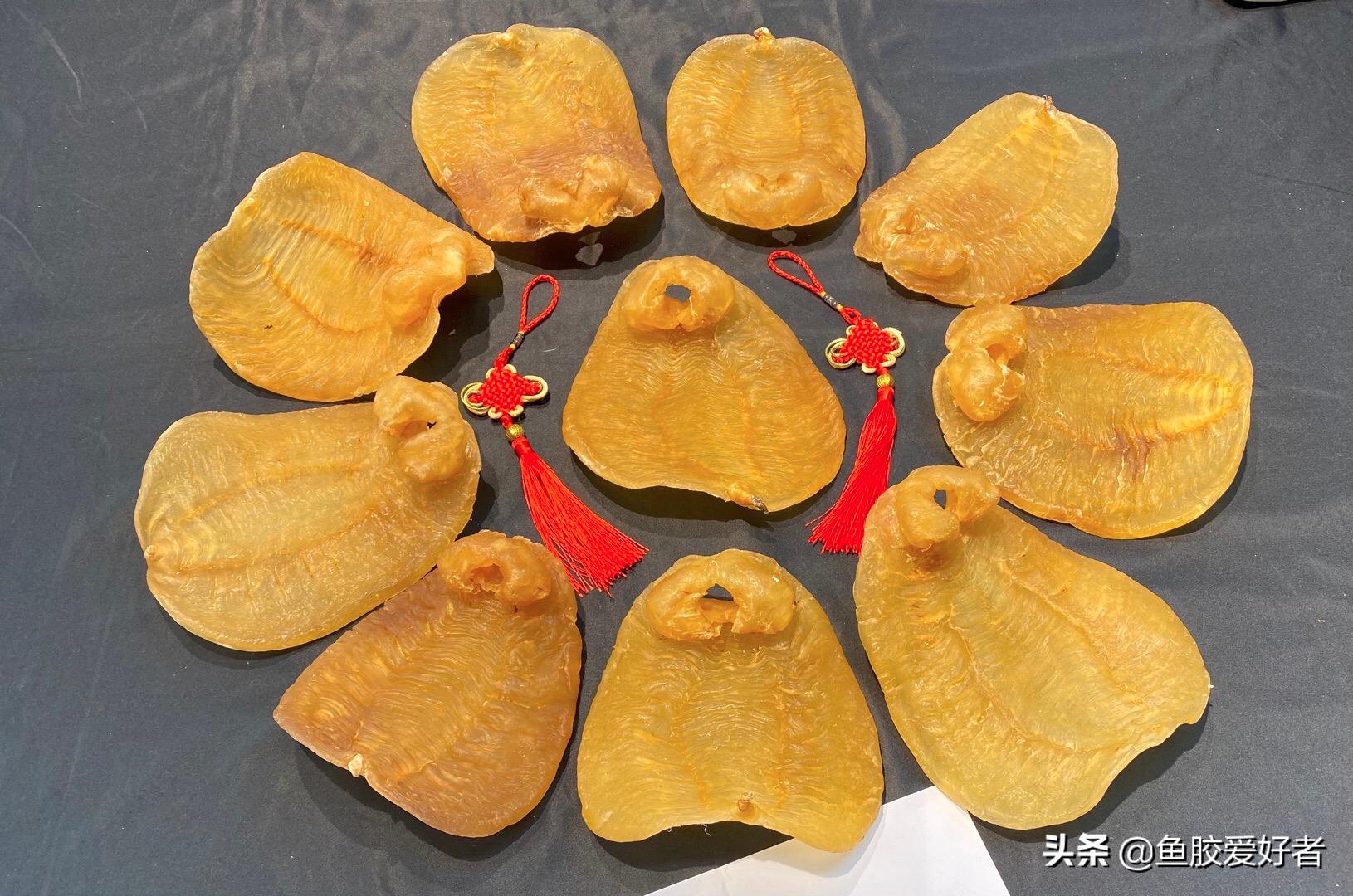 鳘鱼胶有哪些品种,赤嘴鱼胶哪个品种比较补血