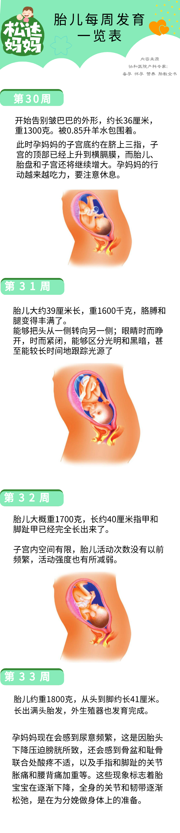 怀孕40周胎儿发育一览表，周周都有新变化！太神奇了