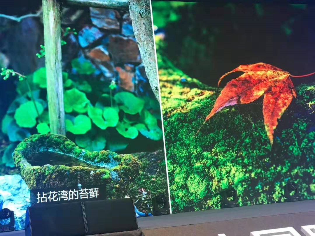 拈花湾最新消息,拈花湾风景区讲解