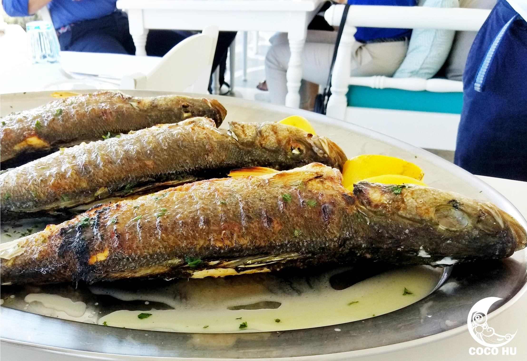 克里特文明与古埃及文明的联系,希腊克里特岛文明