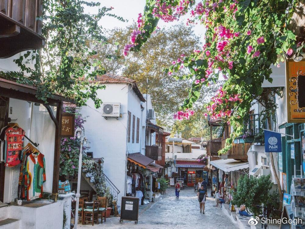 浪漫土耳其澳大利亚,星月国度是指哪个国家